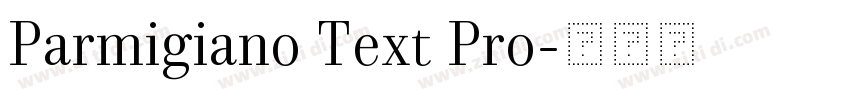 Parmigiano Text Pro字体转换